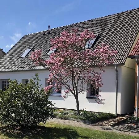 Bauernstube Im Haus Sonnenaufgang - Viel Platz Und Ebenerdig Rheinsberg